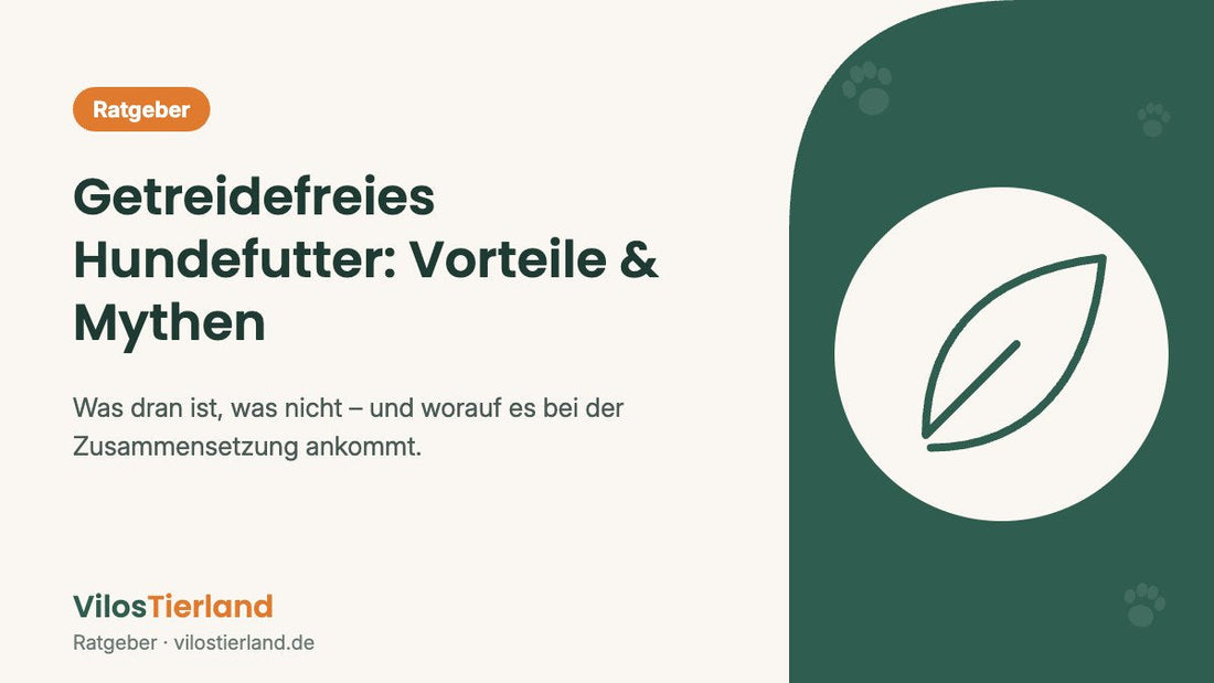 Ratgeber: Getreidefreies Hundefutter – Vorteile und Mythen
