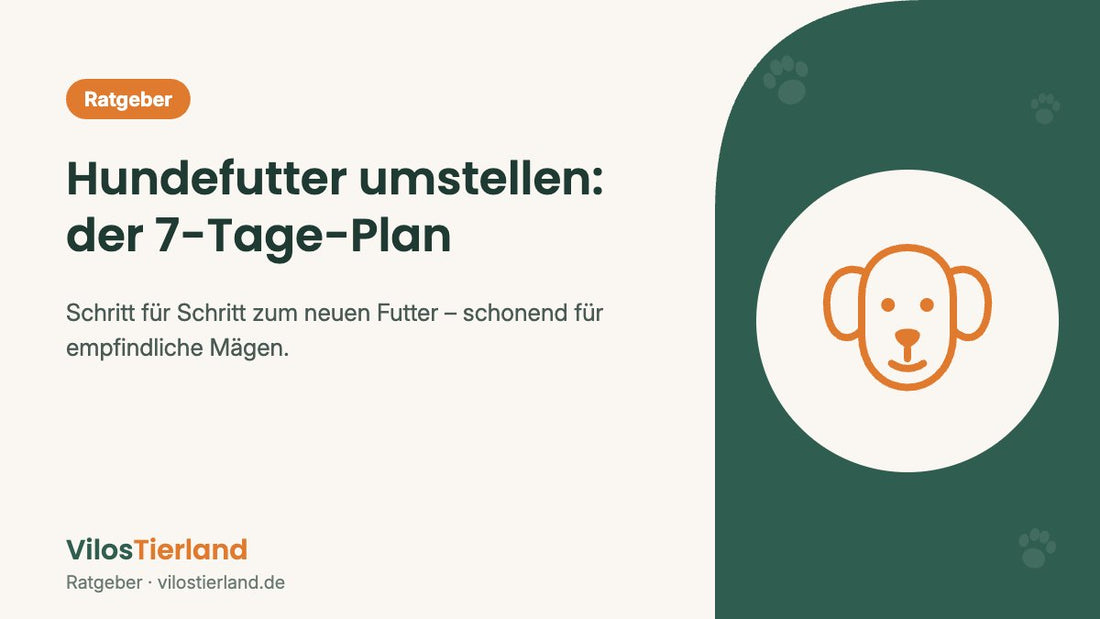 Ratgeber: Hundefutter umstellen mit dem 7-Tage-Plan