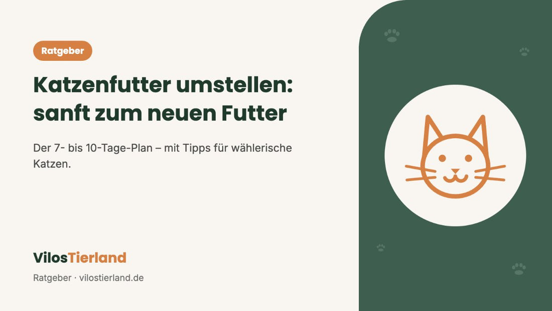 Ratgeber: Katzenfutter umstellen – sanft zum neuen Futter