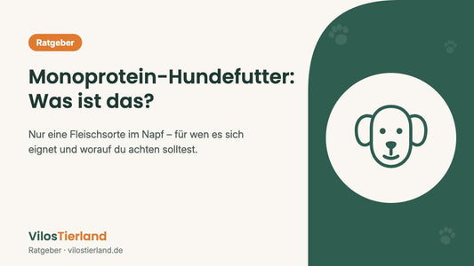 Ratgeber: Monoprotein-Hundefutter – was ist das?