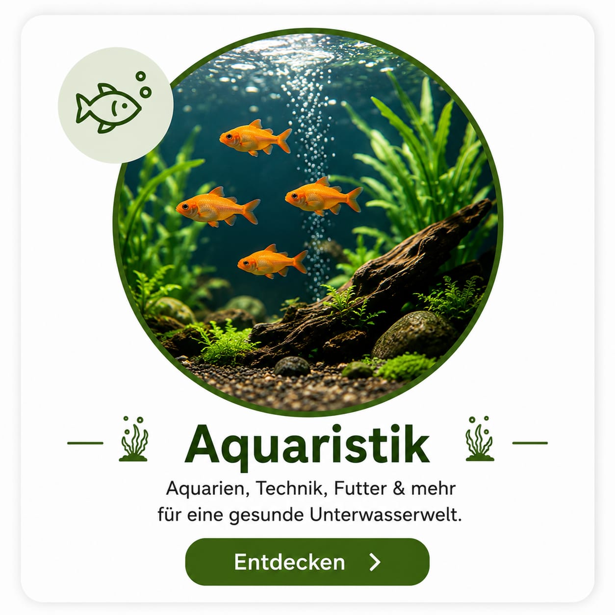 Aquaristik – Aquarienzubehör, Pflege & Futter | VilosTierland