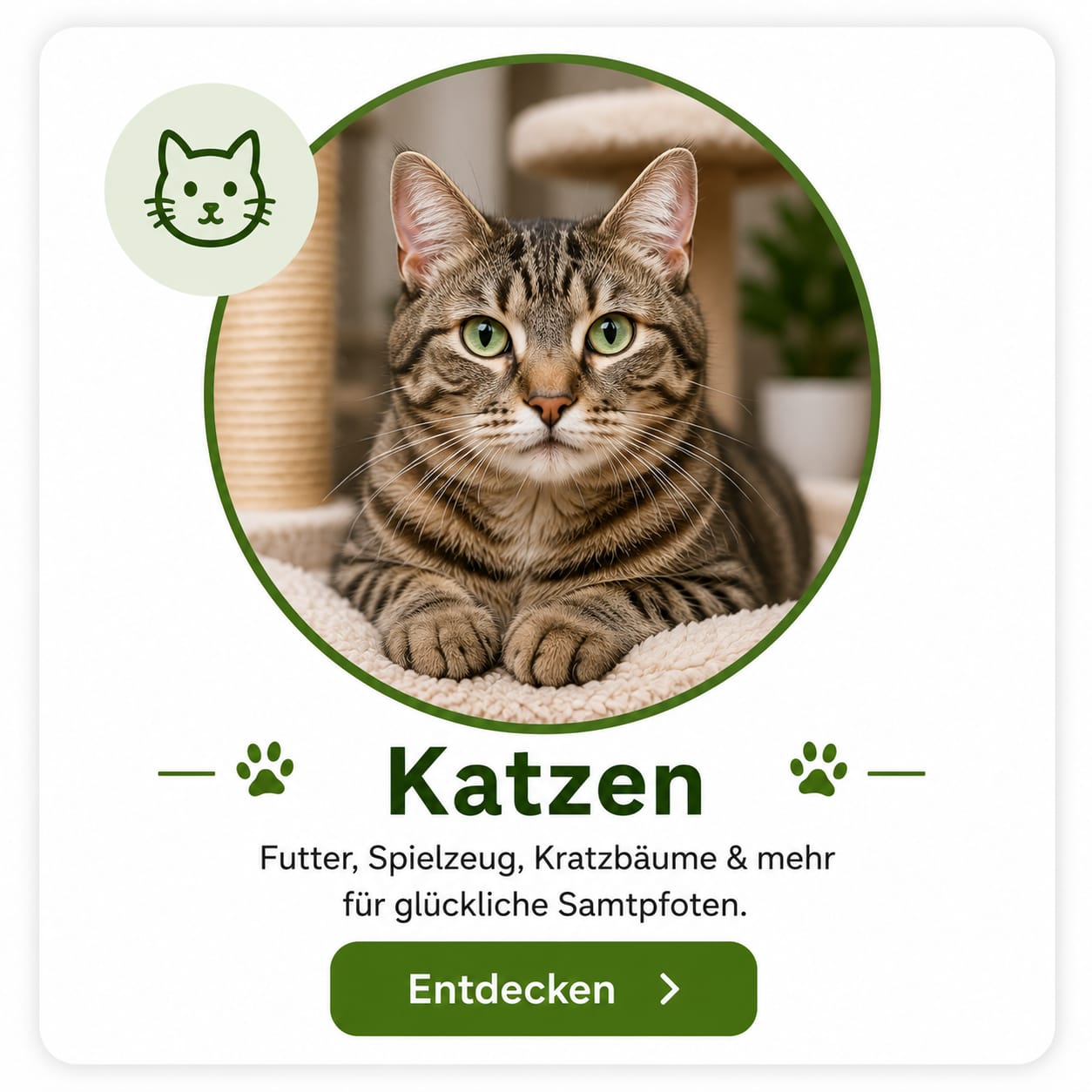 Katzenfutter – Hochwertiges Futter für Katzen | VilosTierland