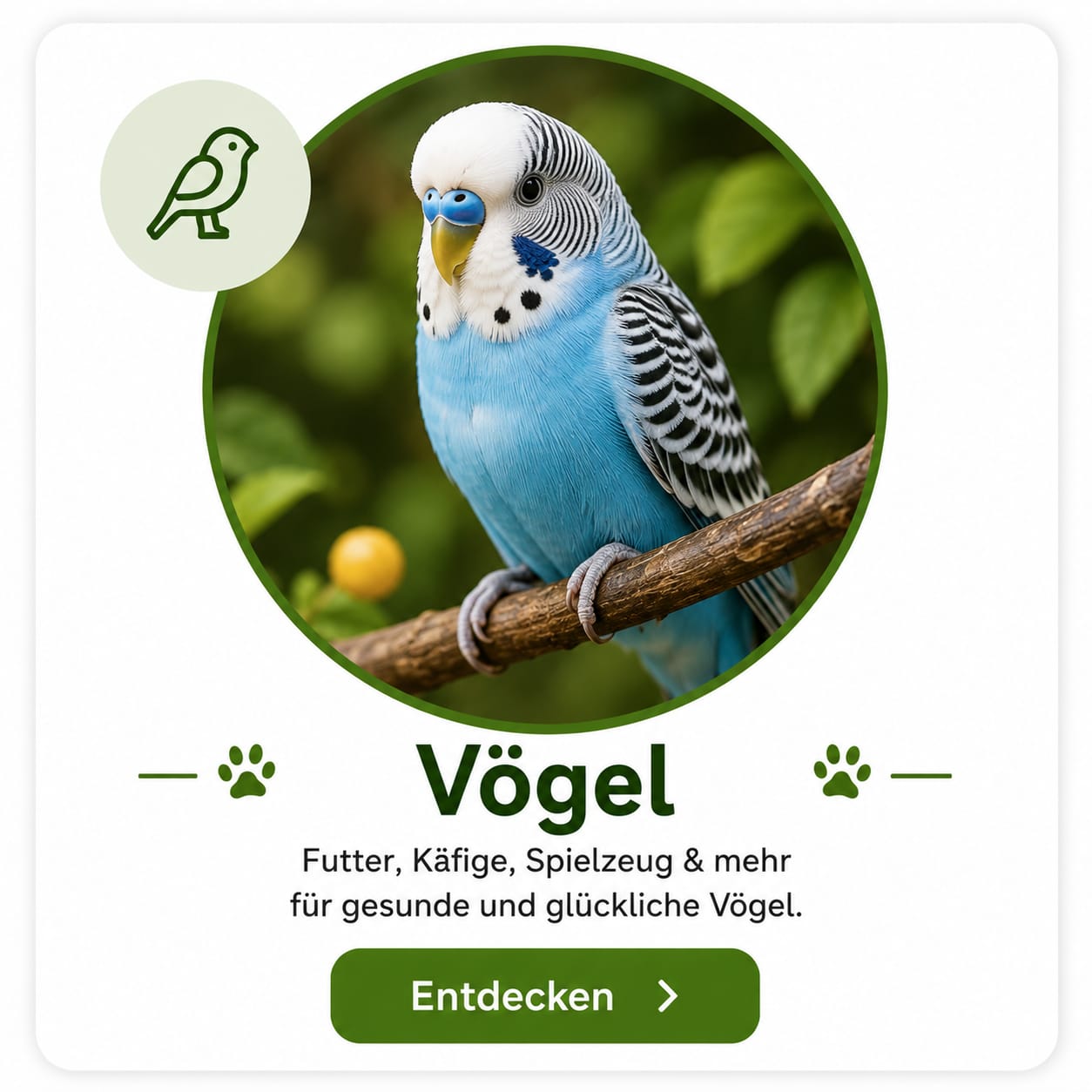 Vogelbedarf – Futter, Zubehör und Pflege für Ziervögel | VilosTierland