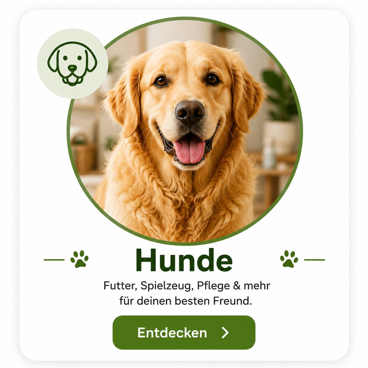 Hundefutter – Hochwertiges Futter für Hunde | VilosTierland