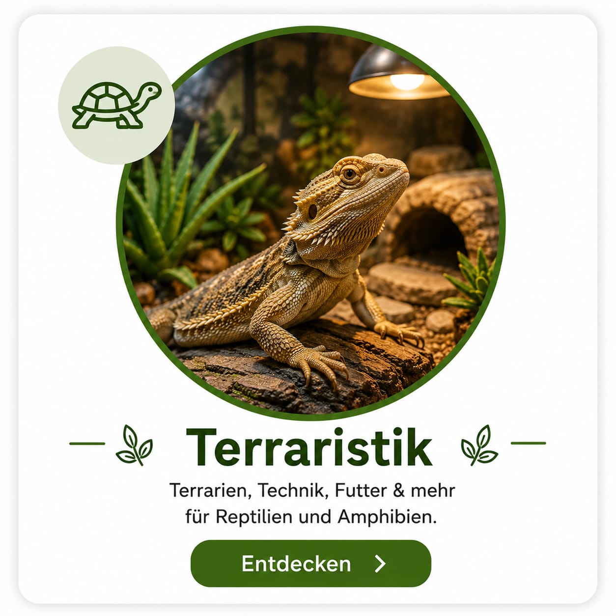 Terraristik – Zubehör, Futter & Pflege für Reptilien | VilosTierland