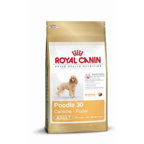 Royal Canin Pudel Adult 1,5 kg