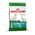 Royal Canin Size Mini Ageing