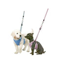 Karlie Flamingo Puppy Geschirr mit Leine - Blau - 10 mm / 15-26 cm